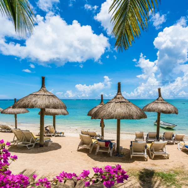 xr:d:daf3b2iuu2c:5,j:7769121725380828329,t:23121511