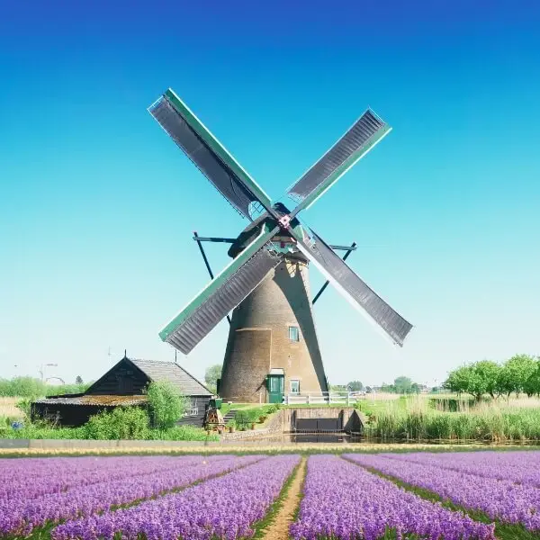 amsterdam and europe group departure ex chennai