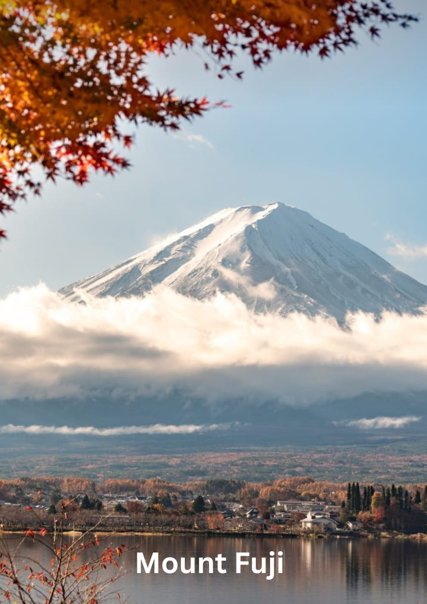 9 2026 02 02t180518.453