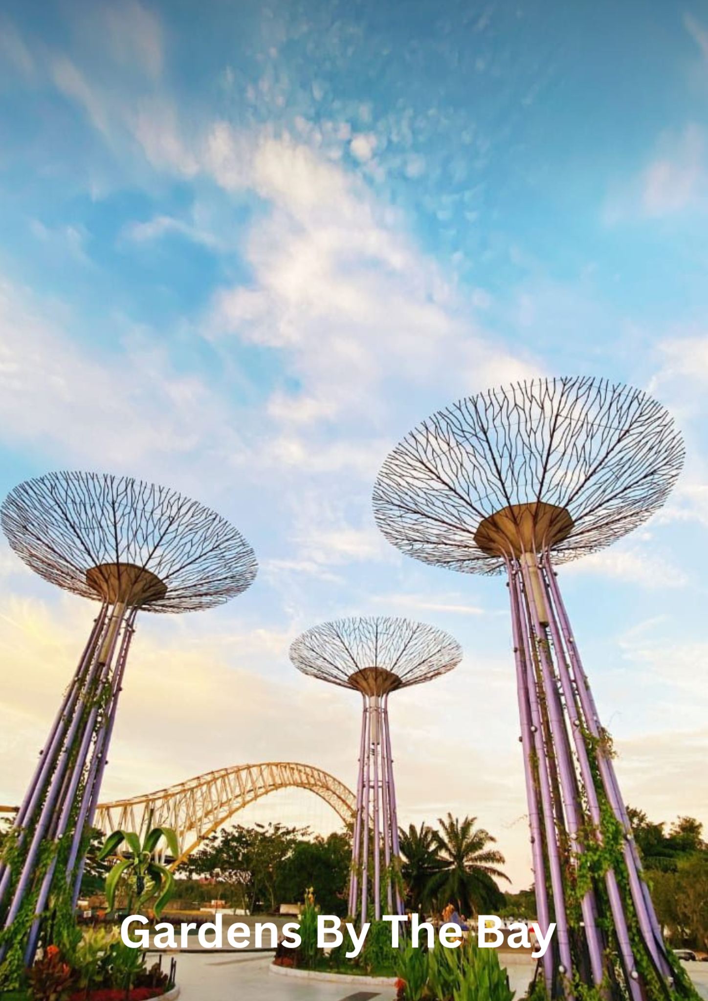 9 2026 02 02t180903.690