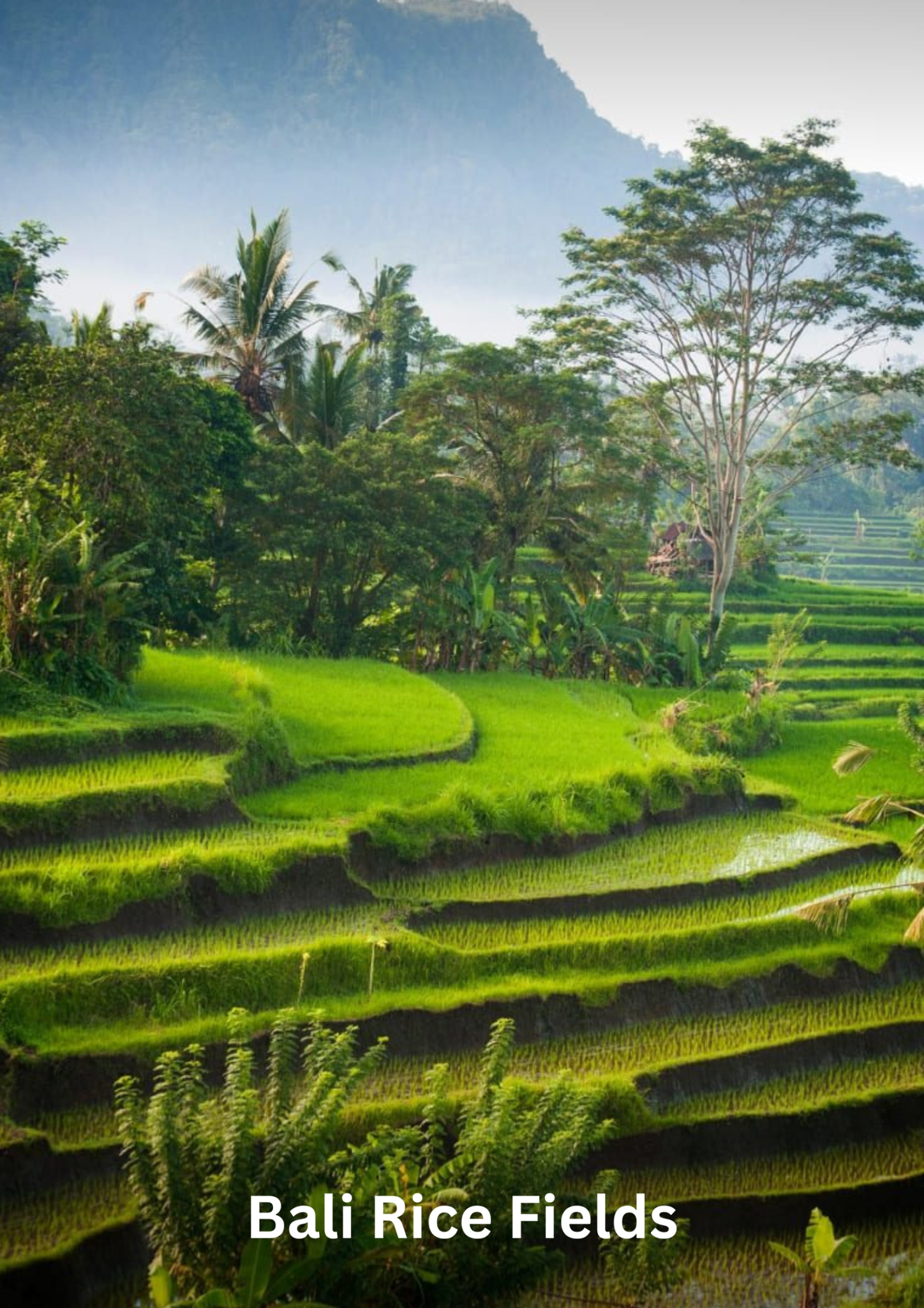 9 2026 02 02t181029.856