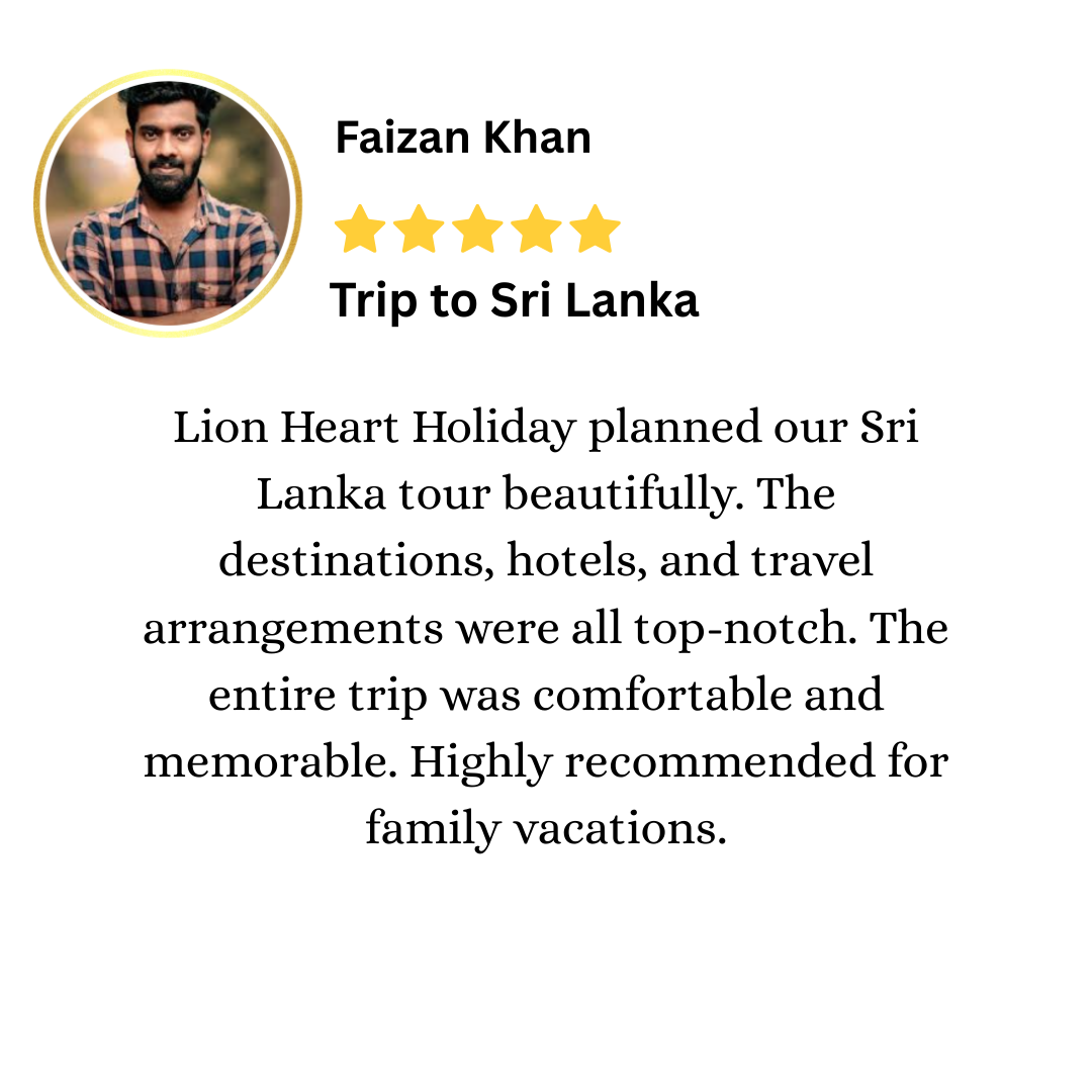Lion heart holidays