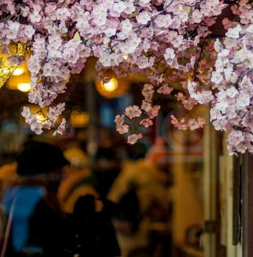 korea tour packages 370x375