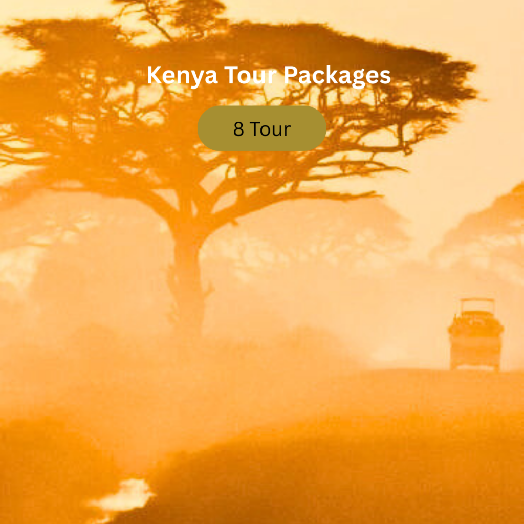 red orange abstrak minimalis buy 1 get 1 instagram post (2)