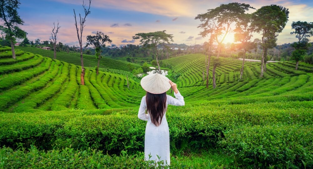 asia tour package from india