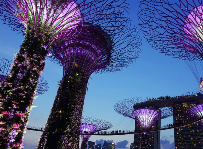 bay of garden singapore 680x500