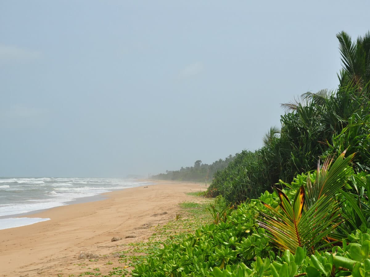 Island bentota beach srilanka tour package