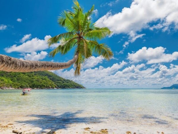 cordelia cruises goa ticket booking 600x450