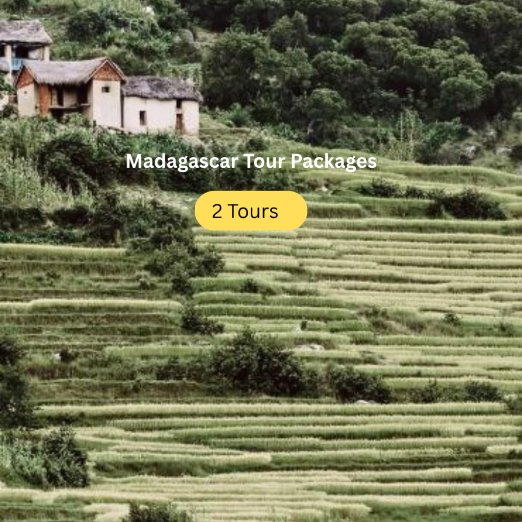 cream brown promotion flyer buy 1 get 1 sale instagram post (8)