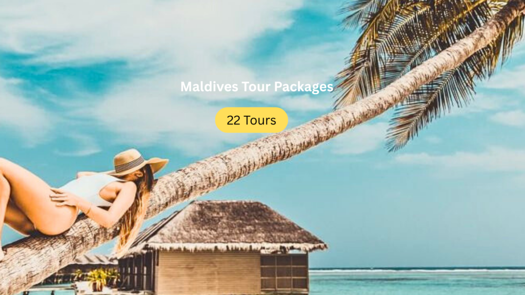 elegant cinematic wedding thumbnail hd 169 (1)