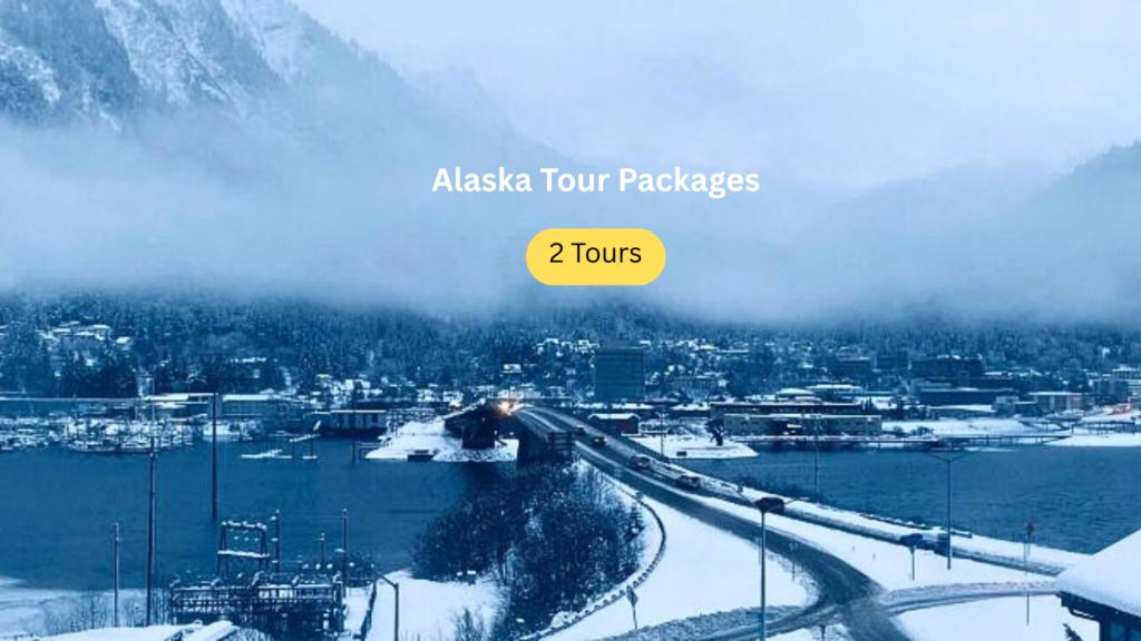 elegant cinematic wedding thumbnail hd 169 (2)