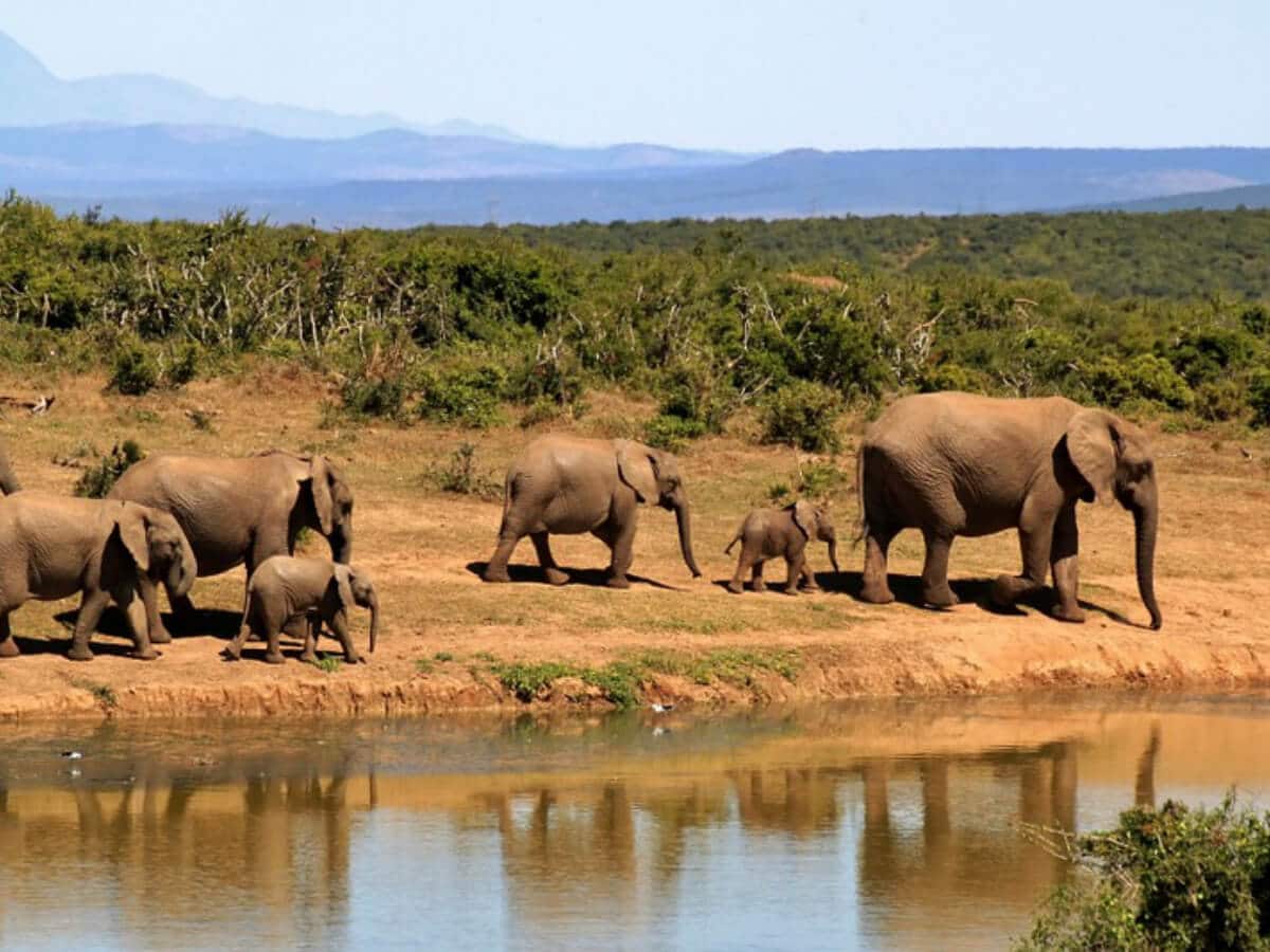 hwange national park tour packages