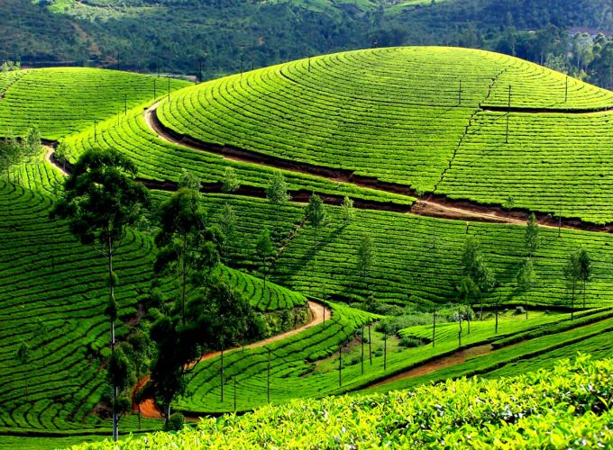 munnar 680x500