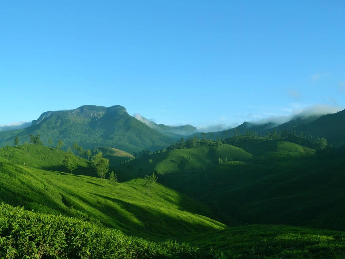 munnar honeymoon packages