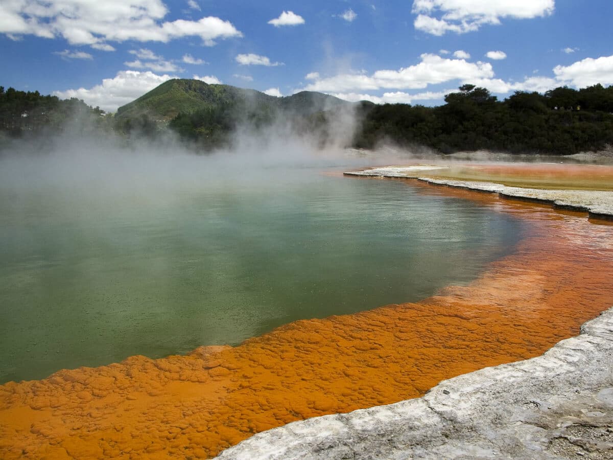 Pacific rotorua new zealand travel package