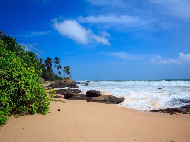 srilanka beach