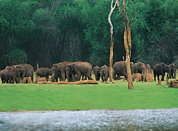 thekkady summer vacation packages 680x500