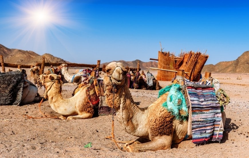 Middle East best places to visit in dubai