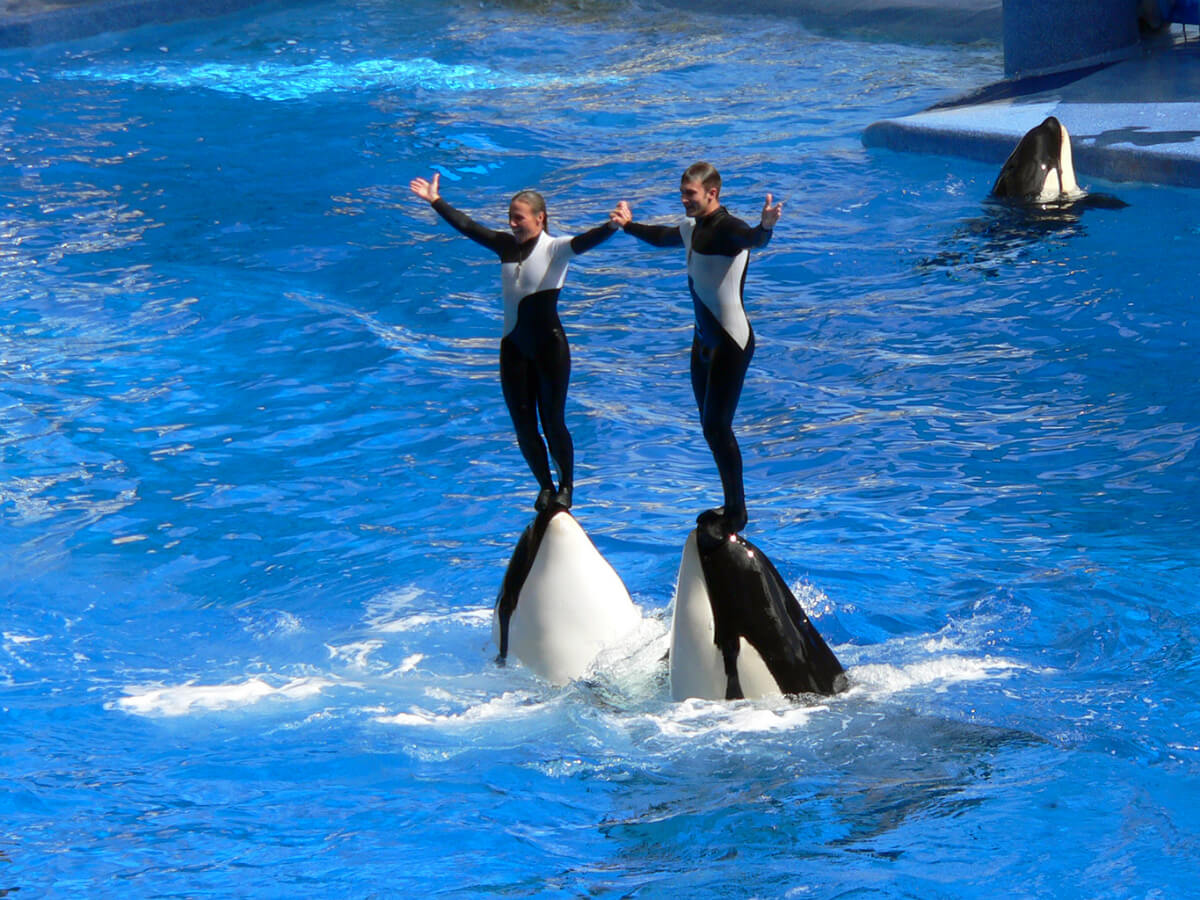 Pacific fiji international tour package