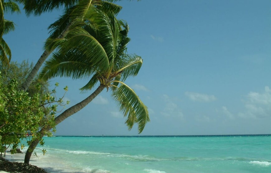 Island luxury tour package