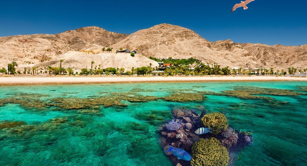 Middle East middle east travel package from india