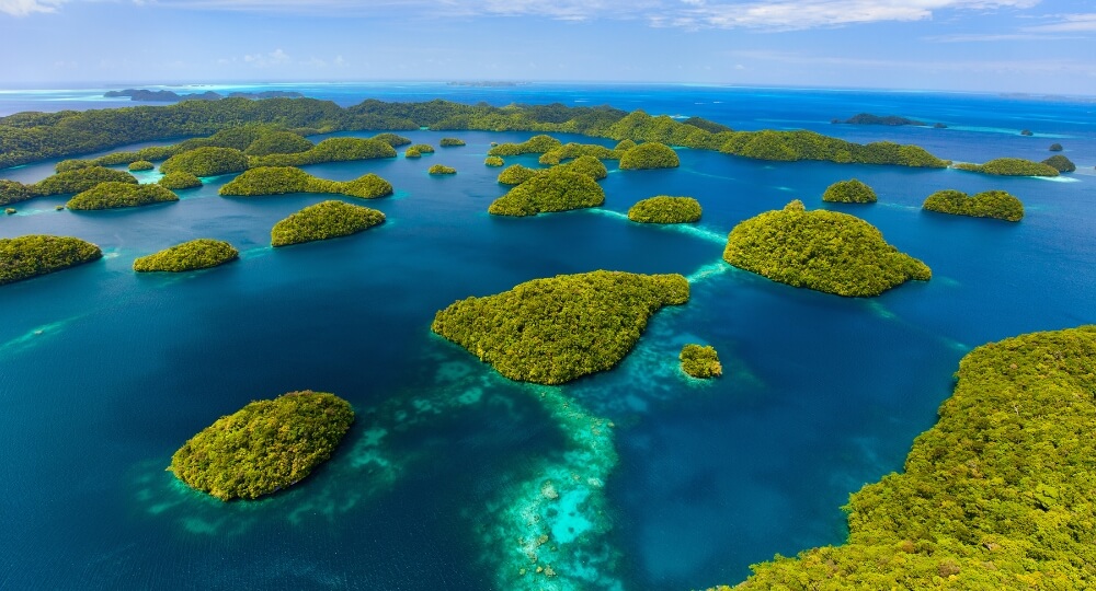 Pacific pacific travel packages from india