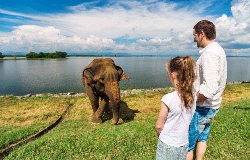 Island srilanka tour packages