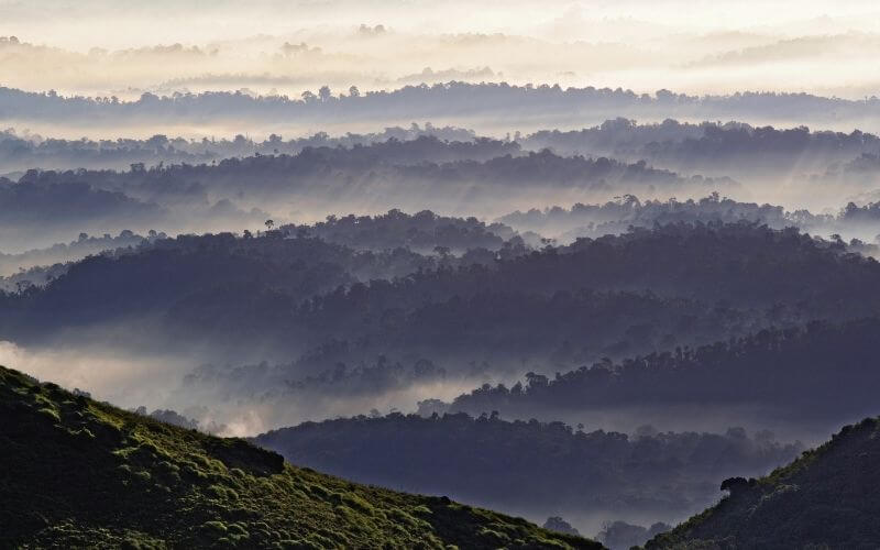 coorg honeymoon package cost