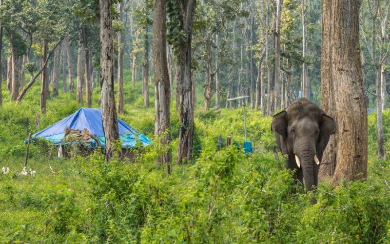 coorg honeymoon package price