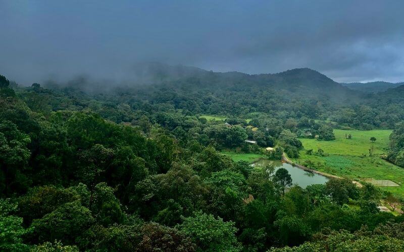 coorg packages for couples