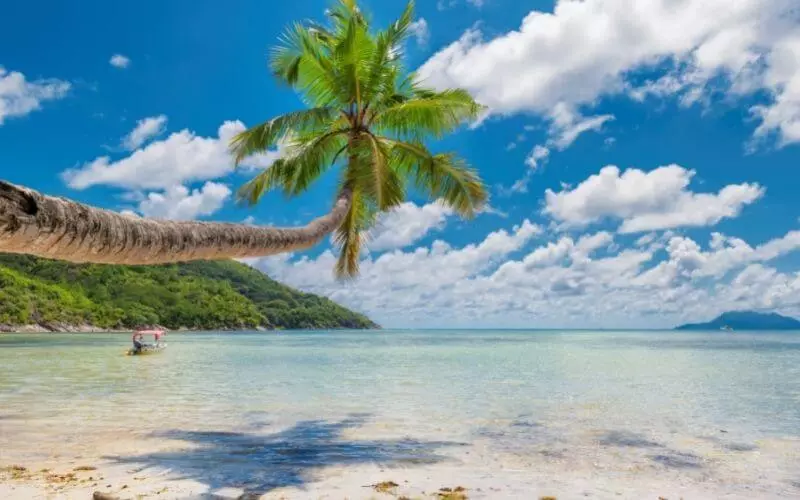 goa package for couples