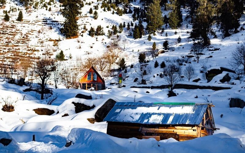 himachal honeymoon package price (1)