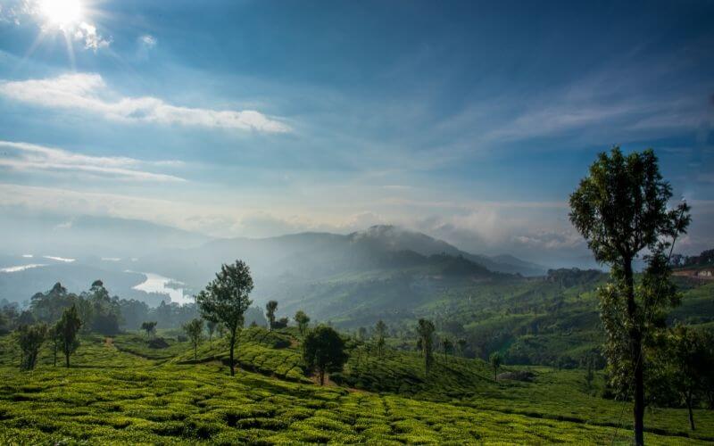 kerala honeymoon package cost