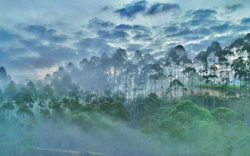 munnar honeymoon package price