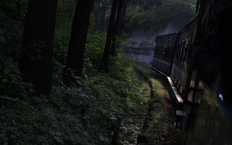 ooty honeymoon package price